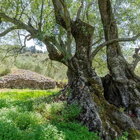 Holiday Home Prigradica 05 別荘