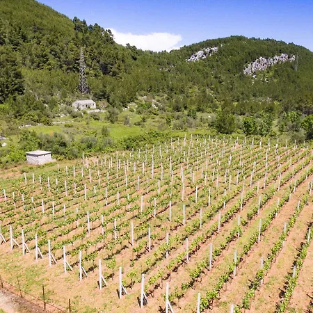 Holiday Home Prigradica 05 別荘 プリグラディサ